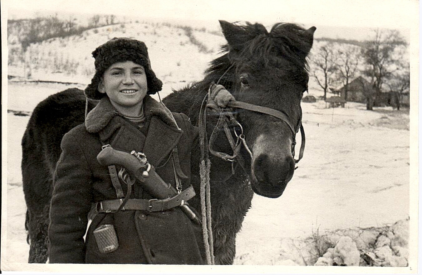 Партизанка книга план